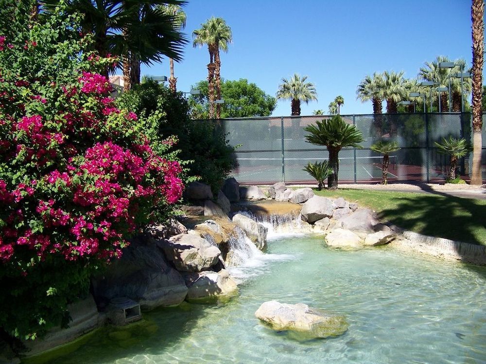 绿洲度假酒店 棕榈泉 设施 照片